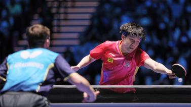 球迷期待 球迷期待