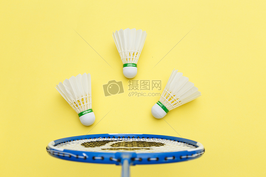 一项数字游 一项数字游