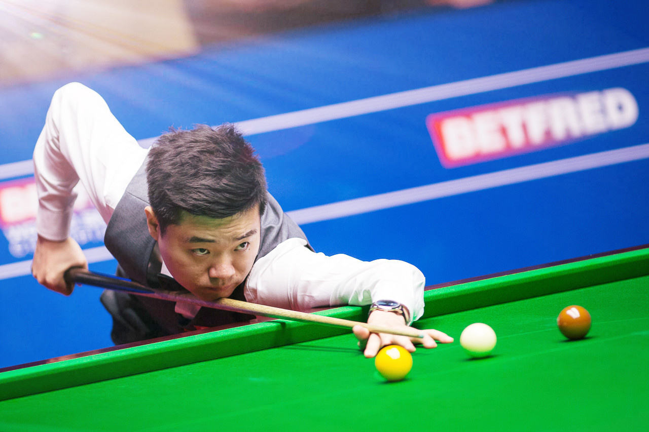 灰狼表現得 灰狼表現得