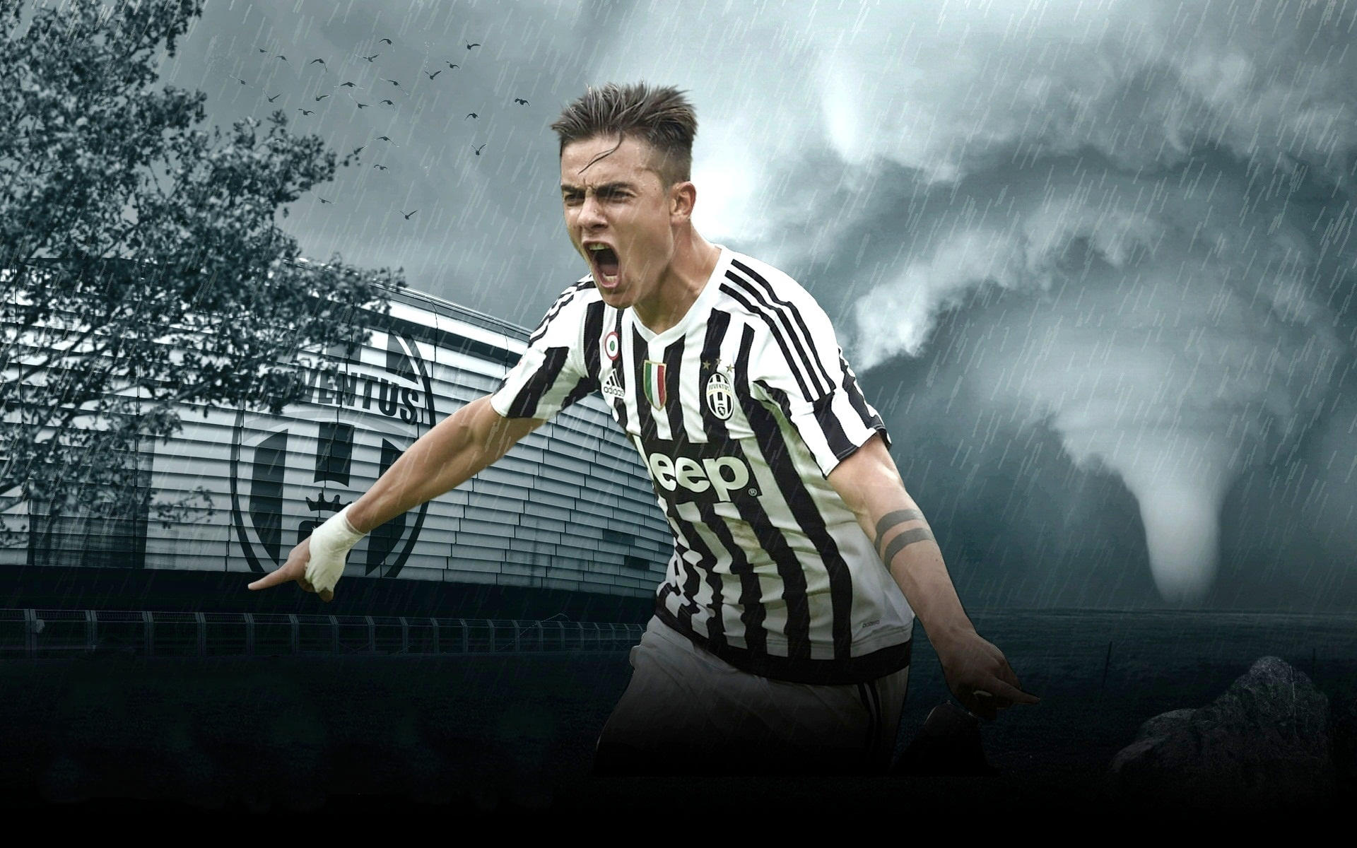 自我限额与 自我限额与